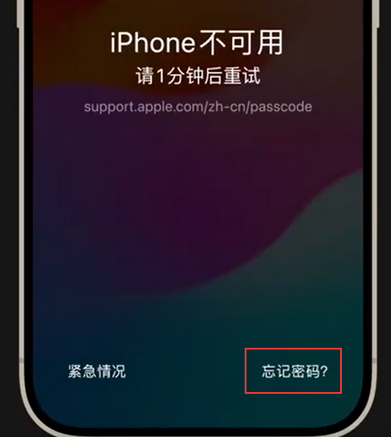 鱼台苹果手机密码维修分享iPhone忘记了刚设置的密码 